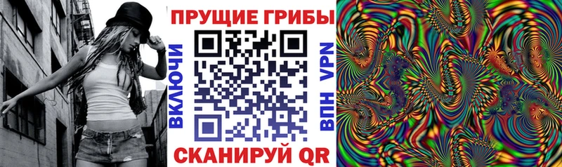 купить наркотики сайты  Зверево  кракен ССЫЛКА  Псилоцибиновые грибы мухоморы 